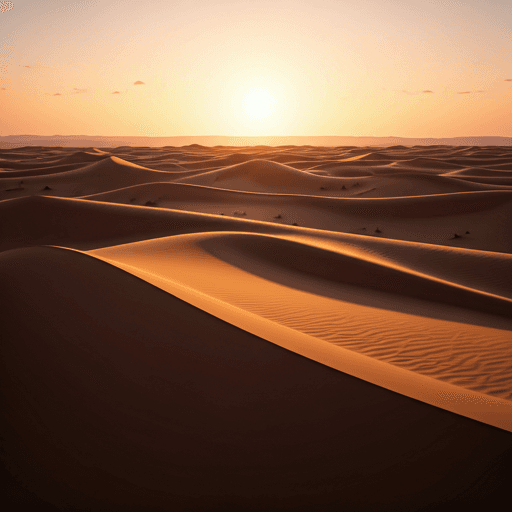 Pustynia Sahara o zachodzie słońca